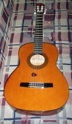 Moja nová gitara Moja nová gitara